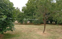 Amberre, Vienne 86110