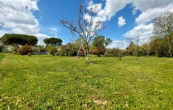 BRENS, Occitanie 81600
