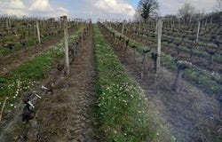Ordonnac, Aquitaine 33340