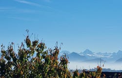 Thoiry, Auvergne-Rhône-Alpes 01710