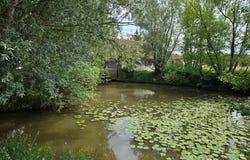 Louhans, Bourgogne 71500