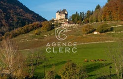 Menthon-Saint-Bernard, Haute-Savoie 74290
