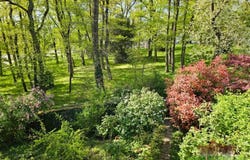 Vienne, Isère 38200