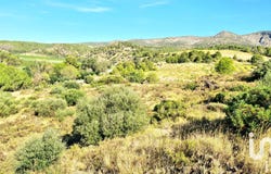 Cases-de-Pène, Occitanie 66600
