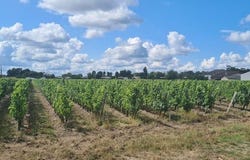 Cissac-Médoc, Aquitaine 33250