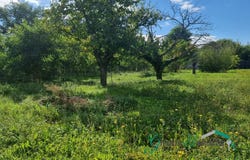 Montigny-sur-Loing, Seine-et-Marne 77690