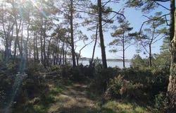 Baden, Bretagne 56870