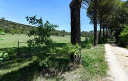 Uzès, Languedoc-Roussillon 30700