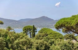 Gassin, Provence-Alpes-Côte d'Azur 83580