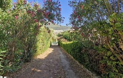 TOULON, Provence-Alpes-Côte d'Azur 83100