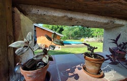 Bazas, Nouvelle-Aquitaine 33430