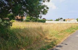Pouille, Pays de la Loire 85570