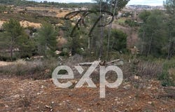 Cessenon-sur-Orb, Languedoc-Roussillon 34460