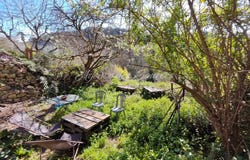 Esparron, Var 83560