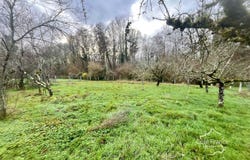 Toucy, Burgundy 89130