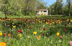 Chalabre, Languedoc-Roussillon 11230