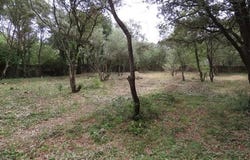 Uzès, Gard 30700