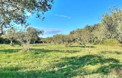 Saint-Siffret, Occitanie 30700