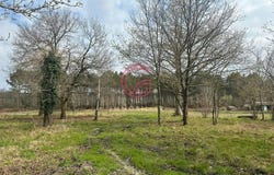 Pontenx-les-Forges, Landes 40200