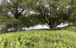 Marcilly-sur-Vienne, Indre-et-Loire 37800