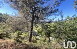 Cadenet, Provence-Alpes-Côte d'Azur 84160