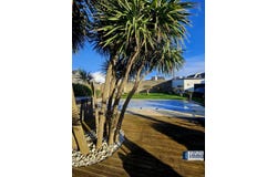 Guilvinec, Finistère 29730