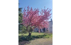 Velluire Sur Vendee, Pays de la Loire 85770