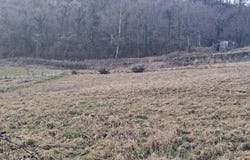 Andelot-Morval, Franche-Comté 39320