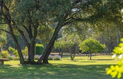 Pernes les Fontaines HH-15853497, Pernes les Fontaines, Provence-Alpes-Côte d'Azur 84210
