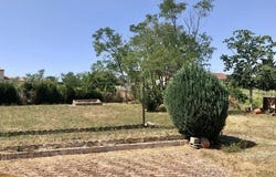 Availles-Limouzine, Vienne