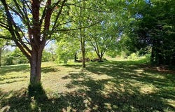 Montsuzain, Grand Est 10150