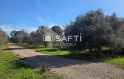 Ceyras, Languedoc-Roussillon 34800