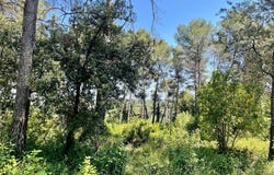 Montpellier, Languedoc-Roussillon 34090