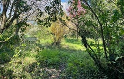 Mazeray, Poitou-Charentes 17400