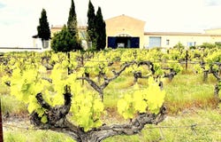 UZES HH-15451370, UZES, Occitanie 30700