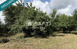 Bersaillin, Franche-Comté 39800