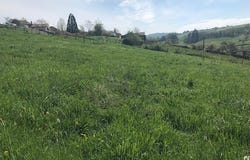Cluny, Bourgogne-Franche-Comté 71250
