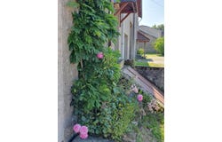 Grandrupt-de-Bains, Vosges 88240