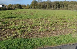 Chouppes, Nouvelle-Aquitaine 86110