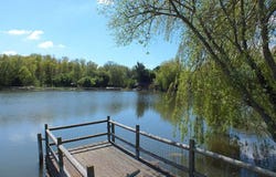 Saint-Cyr-en-Talmondais, Pays-de-la-Loire 85540
