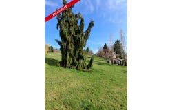 Taintrux, Lorraine 88100