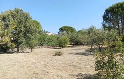 Saint-Hippolyte-du-Fort, Gard 30170