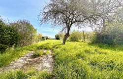 GERBEVILLER, Grand Est 54830