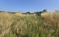 SAUVETERRE DE ROUERGUE, Occitanie 12800