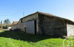 La Foret De Tesse, Nouvelle-Aquitaine 16240