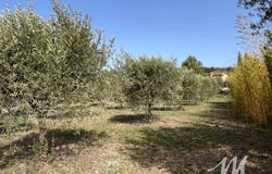 Tavernes, Var 83670