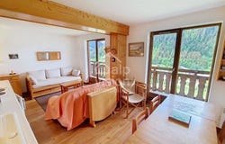 Châtel, Rhône-Alpes 74390