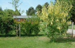 Valliere, Limousin 23120