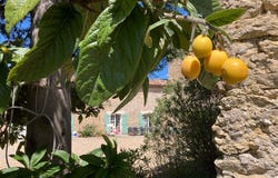 BAGARD, Occitanie 30140