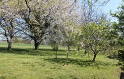 Chalais, Aquitaine 24800